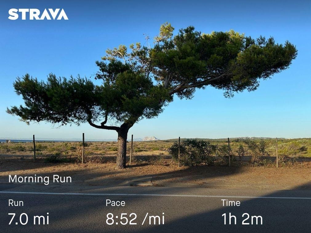 Morning run 🏃‍♂️