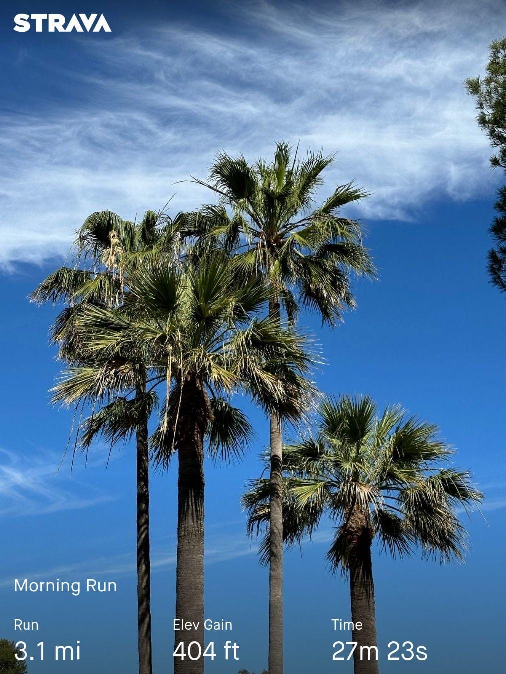 Morning run 🏃‍♂️