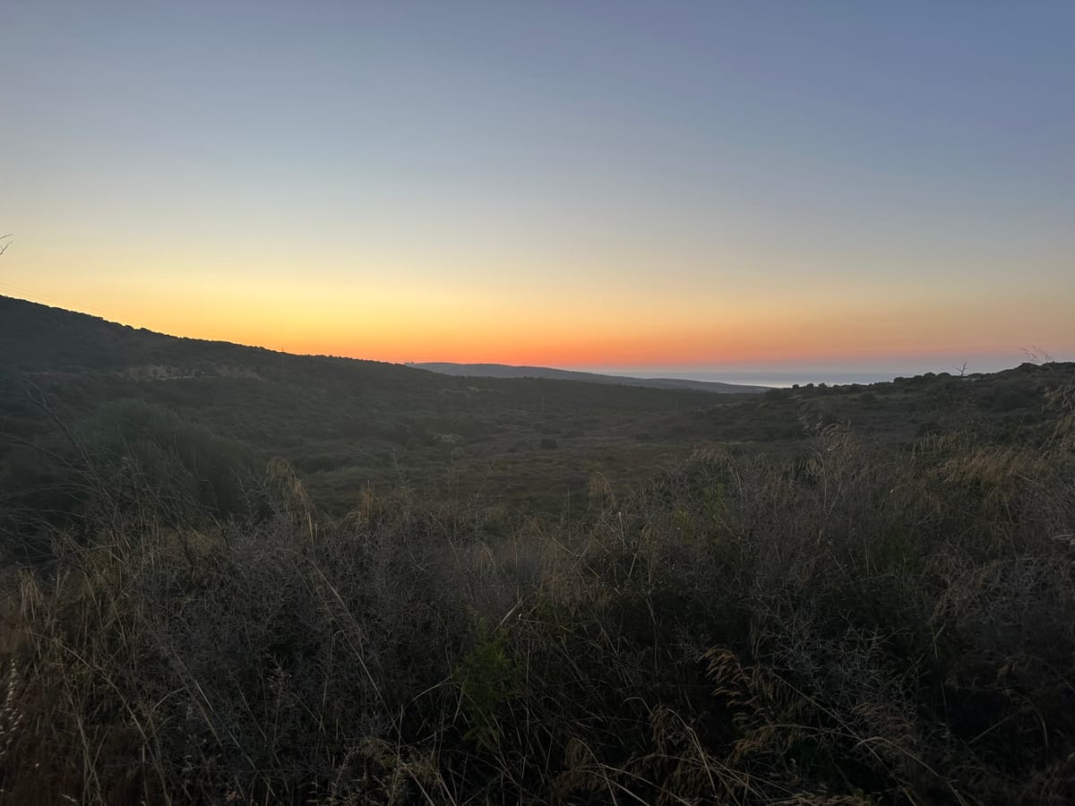 Avenida de la Reserva 🏃‍♂️