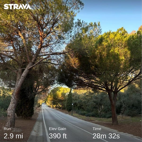 Morning run 🏃‍♂️