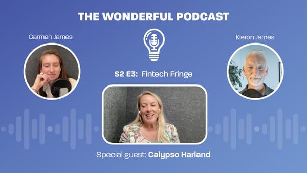 The Wonderful Podcast: S2 E3 - Fintech Fringe 🎙
