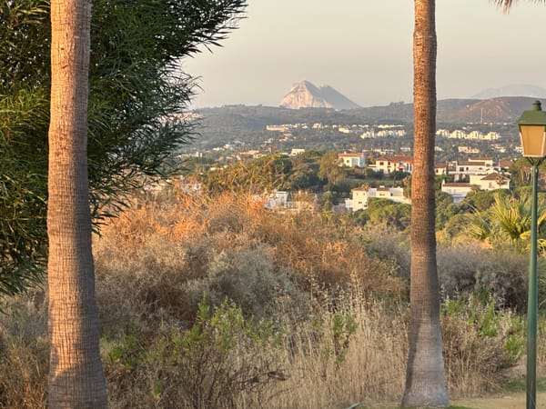 Avenida de la Reserva 🏃‍♂️