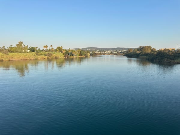 Avenida de la Reserva 🏃‍♂️